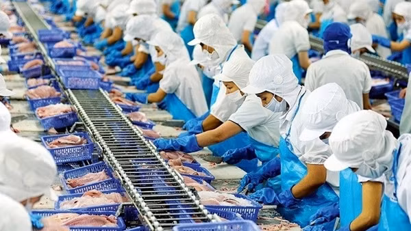 Doanh nghiệp xuất khẩu thủy sản khốn đốn vì hàng tồn kho