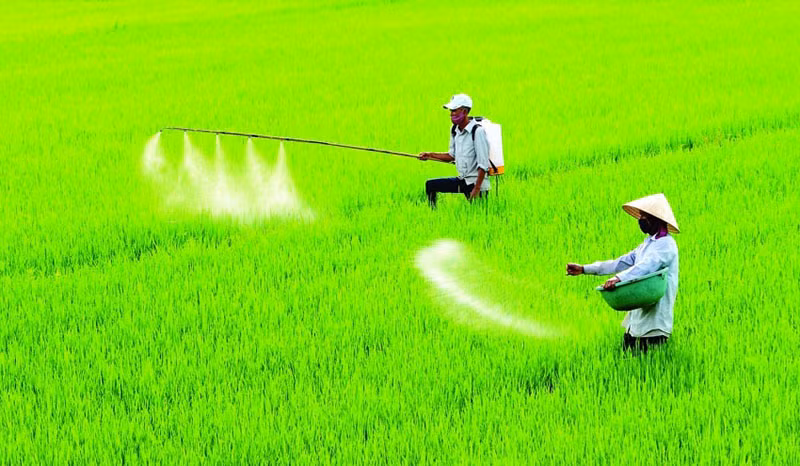 Sửa Luật Thuế 71:&nbsp;Vì một nền nông nghiệp hiệu quả, bền vững -0
