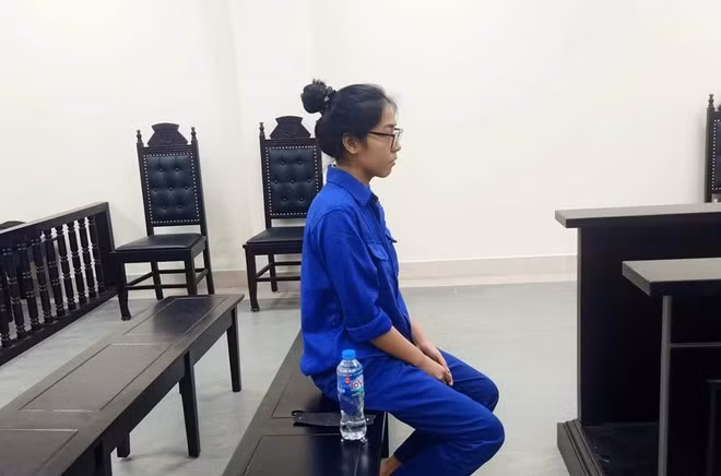 Chiếm đoạt hơn 2,7 tỷ đồng từ chiêu trò lừa góp vốn kinh doanh vé máy bay giá rẻ -0