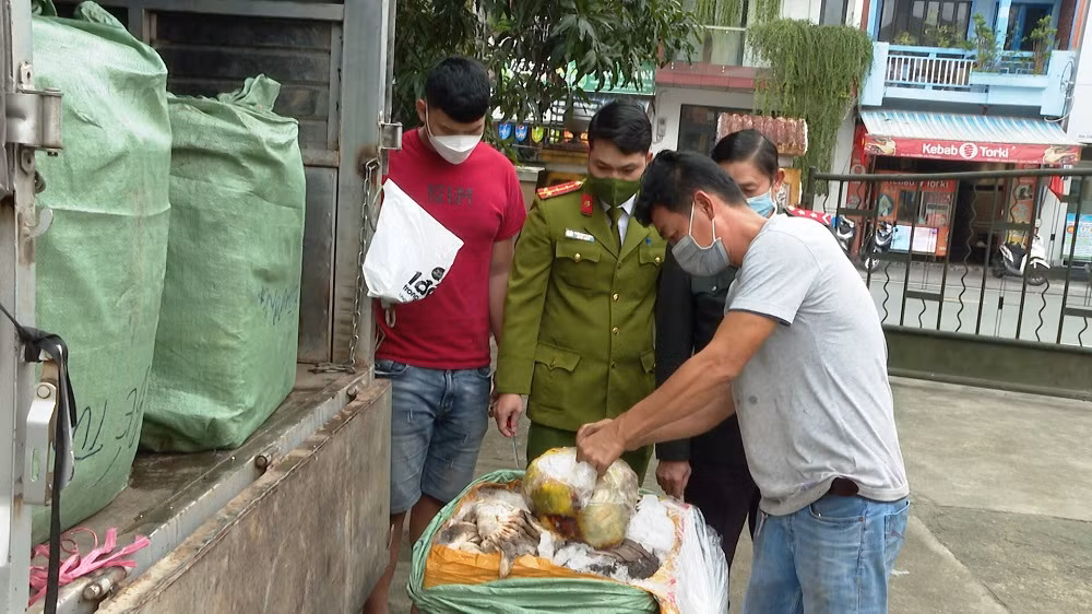 Xe ô tô vận chuyển hơn 1 tấn nội tạng không rõ nguồn gốc -0