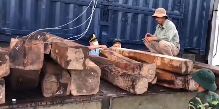 Khởi tố vụ án 7 container vận chuyển gỗ lậu và đá quý hiếm -1
