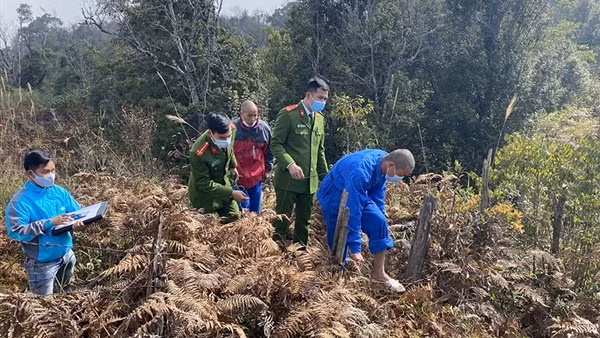 Vừa ra tù lại rủ bạn đi trộm trâu