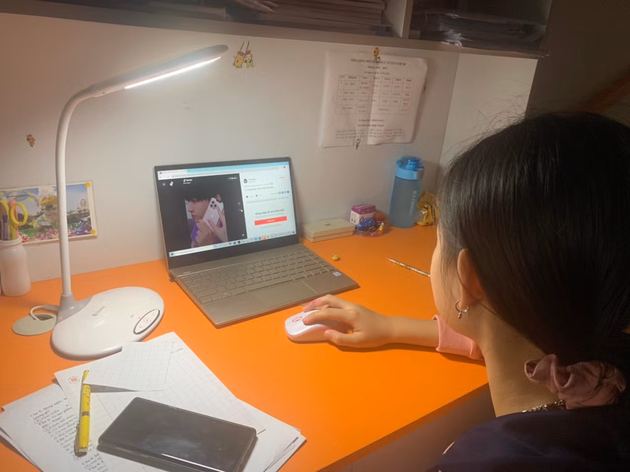 TikTok và nỗi lo giới trẻ bị đầu độc -0