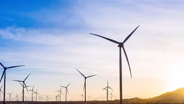 “Ngân hàng Carbon Thế giới” là gì? ảnh 3