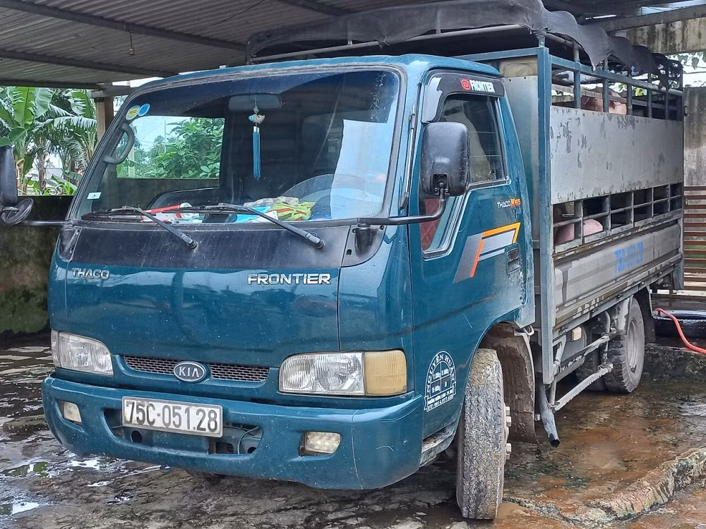 Bắt giữ xe tải chở gia súc không có giấy kiểm dịch -0