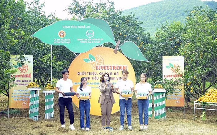Bài 1: Thương mại điện tử tăng trưởng thần kỳ -0