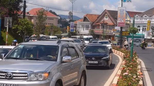 Dịch bủa vây, Đà Lạt vẫn "cháy" phòng ảnh 3