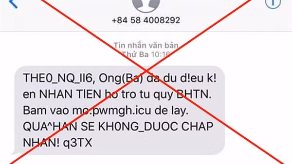 Cạm bẫy mang tên “cộng tác viên online” bủa vây người thất nghiệp ảnh 5