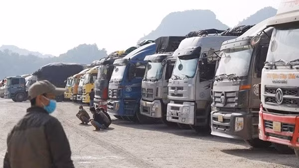 Lào Cai dừng tiếp nhận phương tiện chở hàng hoá lên cửa khẩu từ 18/1 ảnh 3