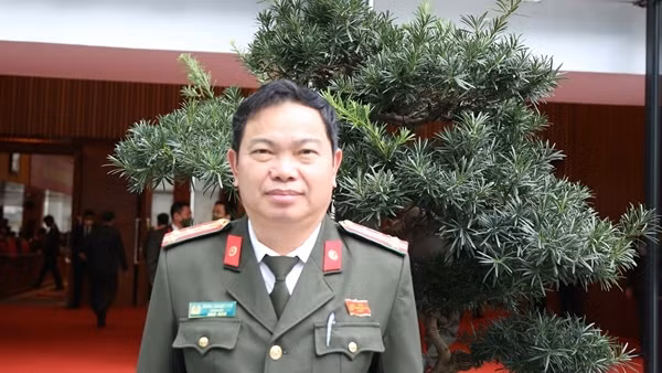 Xử phạt đối tượng chặt phá rừng 17,5 triệu đồng ảnh 15