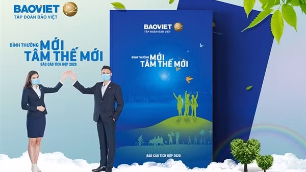 Tập đoàn Bảo Việt thông qua chi trả cổ tức bằng tiền với tỷ lệ hơn 30% ảnh 2