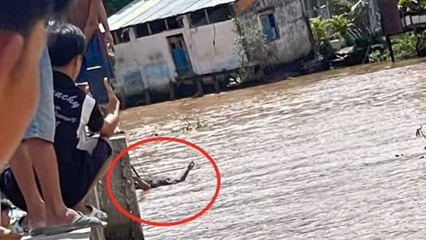 Phát hiện xác chết chưa rõ lai lịch trên nhánh sông Cổ Chiên