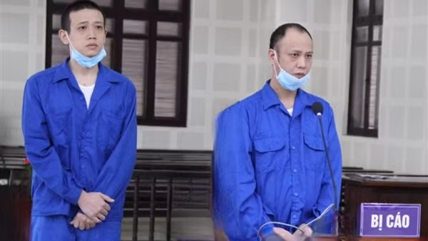 Doanh nhân người Trung Quốc mất gần 1,3 tỷ đồng vì "nuôi ong tay áo"