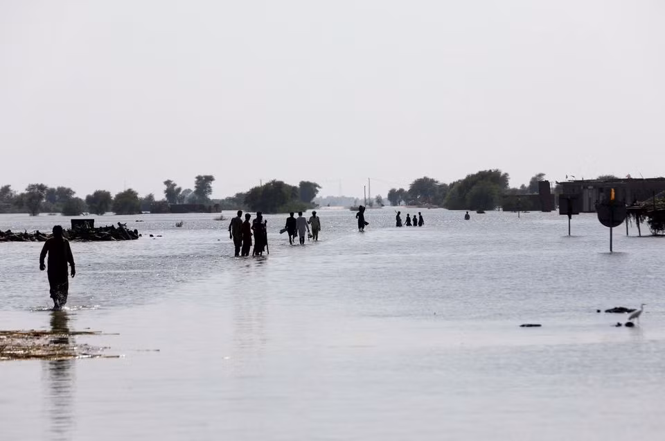 Thảm họa 