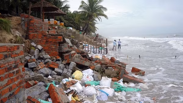 Bảo đảm an toàn cho tàu thuyền ngư dân và tàu du lịch trên tuyến đường thủy Hội An - Cù Lao Chàm ảnh 2