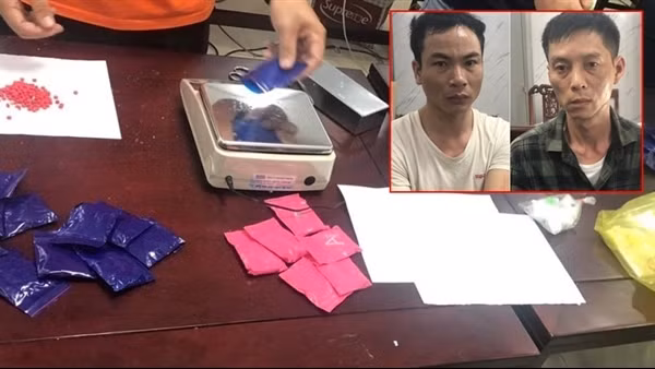 Vận chuyển thuê 174.000 viên ma túy với giá 320 triệu đồng ảnh 3