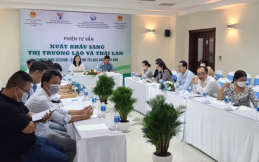 Việt Nam có nhiều điều kiện thuận lợi để xuất khẩu sang Thái Lan và Lào -0