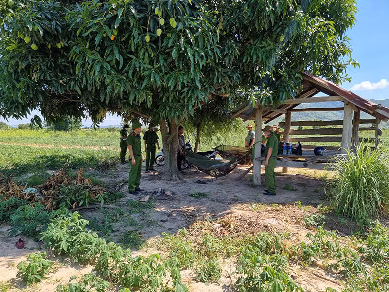 Tạm giữ hình sự các đối tượng đâm trọng thương nhân viên bảo vệ rừng -0