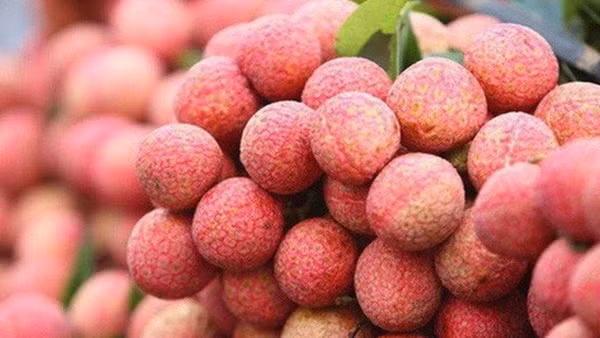 Trung Quốc thí điểm nhập khẩu trái cây qua cửa khẩu Kim Thành II