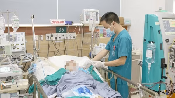 Uống mật cá trắm, 8 người bị ngộ độc nặng ảnh 3