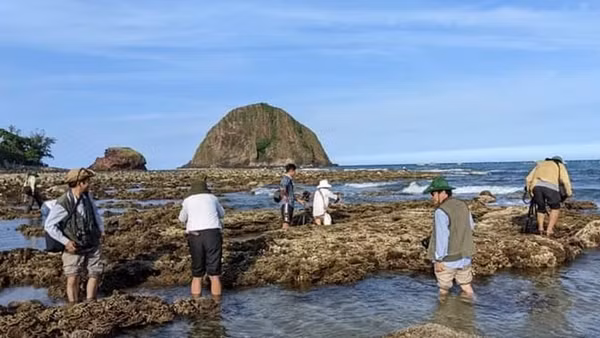 Nhiều giải pháp phục hồi và bảo vệ rạn san hô ở vịnh Nha Trang ảnh 3