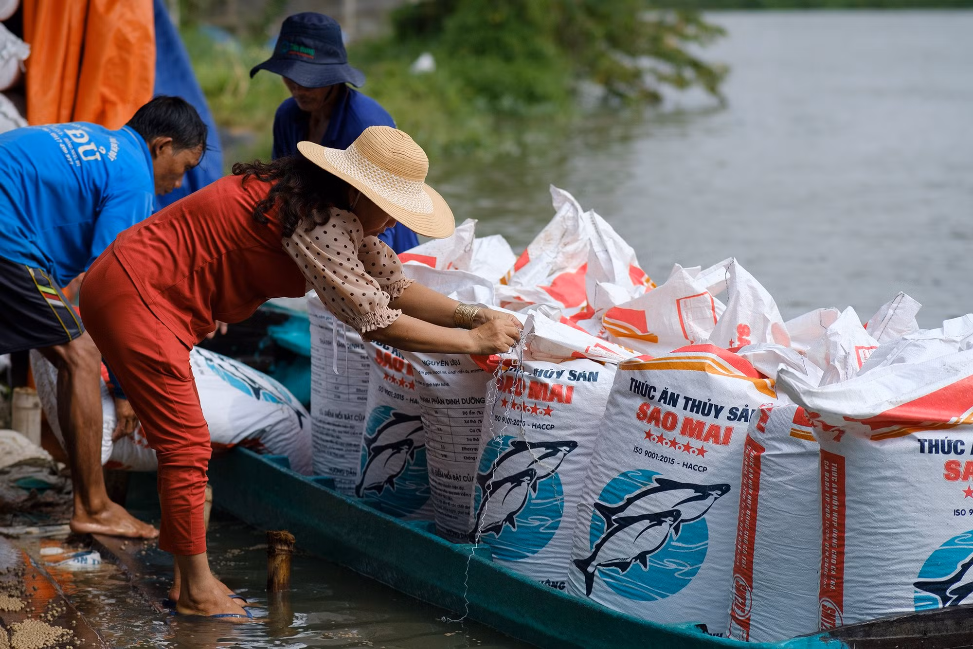 Giải pháp dinh dưỡng cho đàn cá khỏe -0
