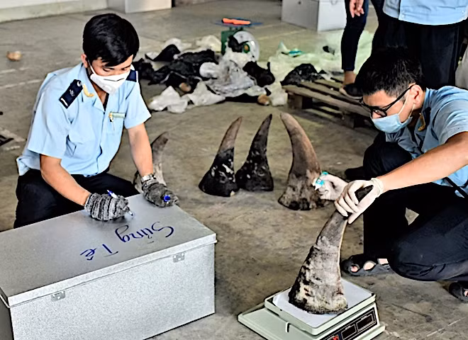 Ai đứng đằng sau lô sừng tê, ngà voi, xương sư tử…trị giá 300 tỷ đồng? -0