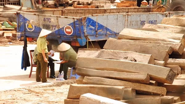 BVĐK Khu vực Nghi Sơn xử lý số tiền vượt thu hơn 4,2 tỷ đồng như thế nào? ảnh 3
