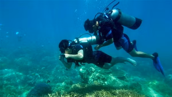 Tạm dừng du lịch lặn biển khu vực dễ gây tổn hại san hô ở vịnh Nha Trang