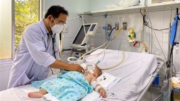 Đã có 30 ca tử vong vì sốt xuất huyết ảnh 2