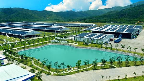 ESG – Xu hướng thế giới và sự “nhận diện” của nhà đầu tư Việt ảnh 7