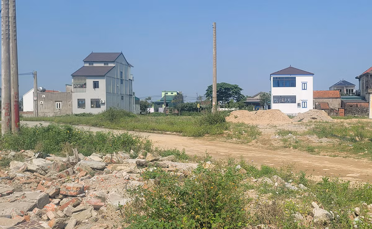 Bi hài chuyện “bỏ cọc” sau “sốt” đất -0