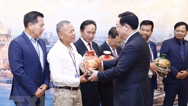 Chủ tịch Quốc hội Vương Đình Huệ hội đàm với Chủ tịch Hạ viện Anh Lindsay Hoyle ảnh 2