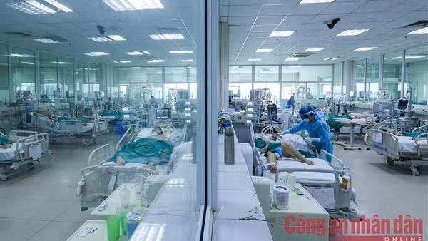 Việt Nam đã xuất hiện biến thể phụ BA.5, nguy cơ lây nhiễm rất cao ảnh 1