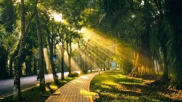 Miền Bắc nắng ấm trước khi đón rét đậm