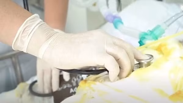Vụ phóng hỏa phòng trọ: chồng tử vong, vợ và hai con tiên lượng rất nặng