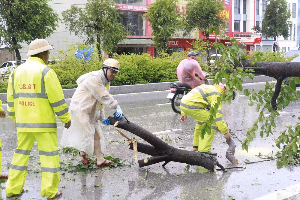 CSGT Công an Nghệ An dồn tổng lực xử lý cây xanh gãy đổ -0