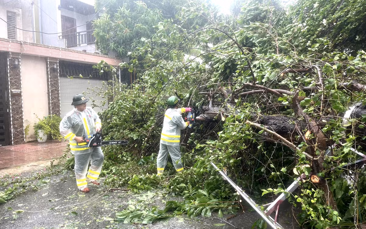 Bão số 5 đổ bộ, Phó Thủ tướng trực tiếp chỉ đạo công tác ứng phó -0