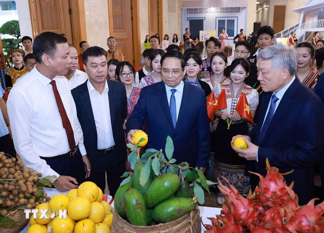 ''Hoàn thành xóa nhà tạm, nhà dột nát là công trình đặc biệt của ý Đảng, lòng dân'' -0