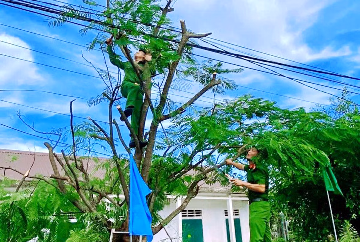 Huy động hàng trăm cán bộ chiến sỹ ứng trực, giúp dân chống bão -0