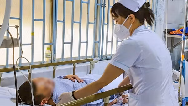 Ăn cá nóc gạo um bún, cặp vợ chồng suýt mất mạng