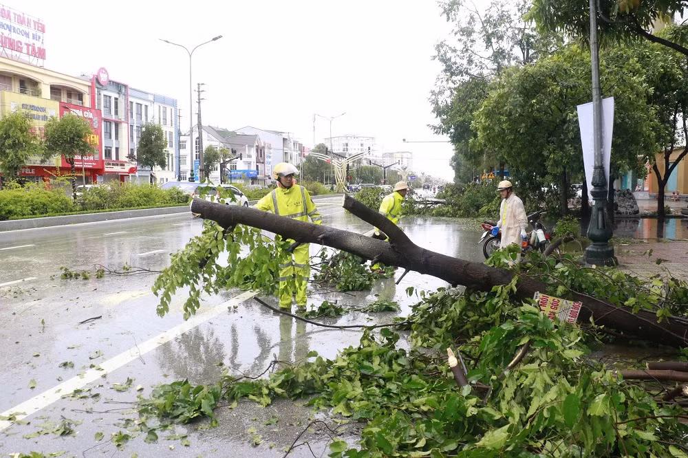 CSGT Công an Nghệ An dồn tổng lực xử lý cây xanh gãy đổ -0