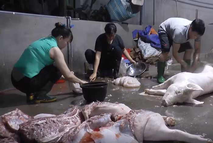 Ngăn chặn thực phẩm bẩn ngay “thủ phủ chăn nuôi” -0