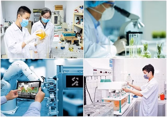 Nhiều quy định đột phá, thu hút nhân tài khoa học công nghệ chính thức có hiệu lực từ 1/10 -0