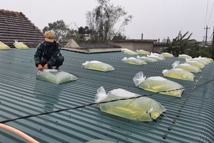 3 người trong một gia đình thương vong trong lúc gia cố nhà để chống bão -0