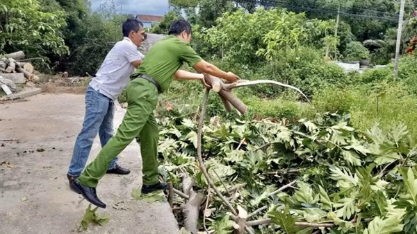 Quảng Trị khẩn trương khắc phục hậu quả bão số 5