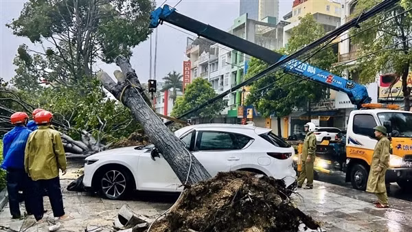 Cây xanh lớn bật tốc đè bẹp ô tô Mazda&nbsp;dừng đỗ bên vỉa hè
