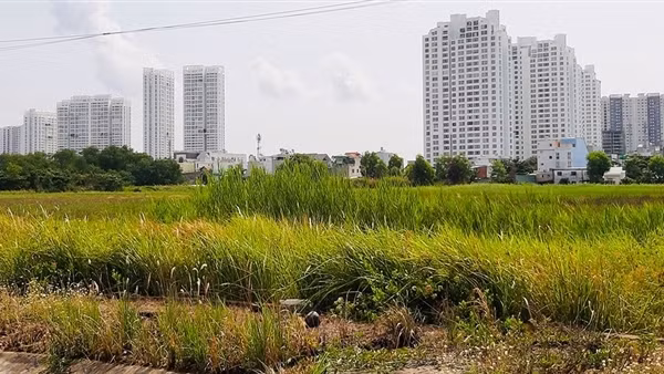 Lập đoàn kiểm tra thực hiện kết luận thanh tra các dự án bỏ hoang