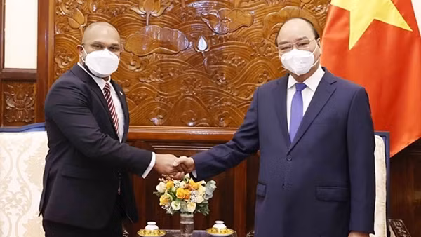 Chủ tịch nước Nguyễn Xuân Phúc làm việc với Tổ Biên tập xây dựng Đề án Nhà nước pháp quyền ảnh 3