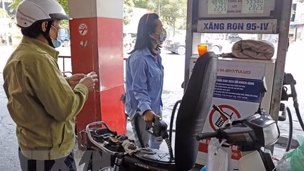 Tránh giá xăng tăng mạnh, thuế bảo vệ môi trường có thể giảm 2.000đ/lít ảnh 2